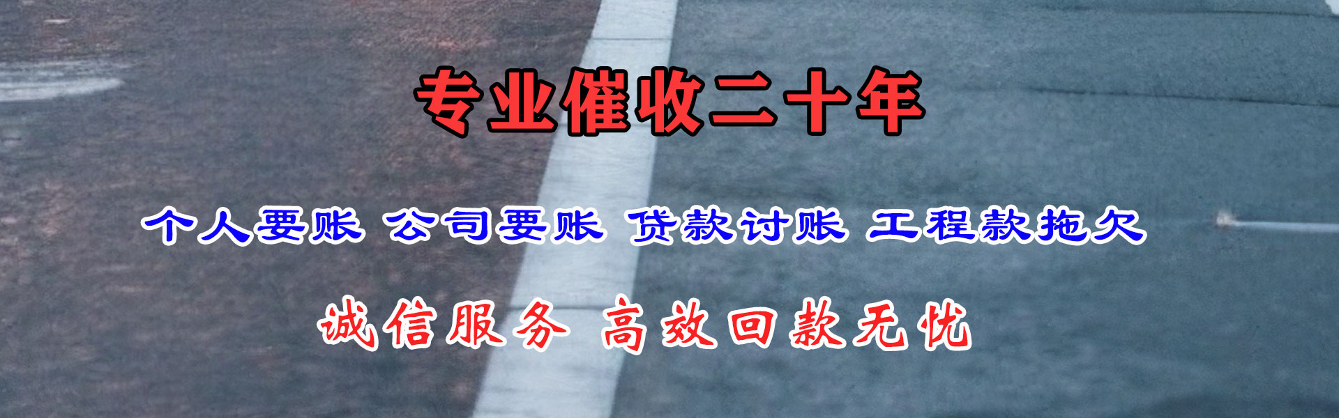 惠东清债公司